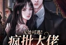 无处可逃！疯批大佬强制爱无弹窗姜亦乔最新章节列表-逐鹿文学