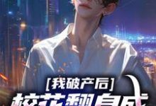 我破产后,校花翻身成总裁要养我?无弹窗陈述苏晴晚最新章节列表-逐鹿文学