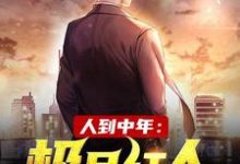 赵腾金露儿在线阅读,人到中年:极品红人小说完结版章节-逐鹿文学