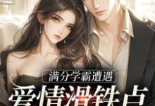 满分学霸遭遇爱情滑铁卢,爱你无解精彩章节阅读(黎政舒乔)免费阅读大结局-逐鹿文学