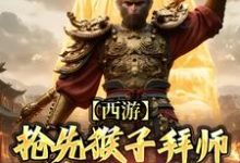 林云小说的结局在哪可以看,西游:抢先猴子拜师须菩提祖师免费阅读完结版-逐鹿文学