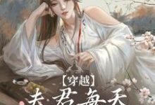 穿越:夫君每天都在争风吃醋(沈夏多夫)最新章节免费在线阅读-逐鹿文学