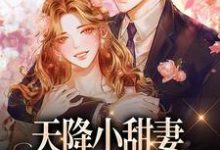 跪求主角是徐蓁沈凌风的小说书名叫什么-逐鹿文学
