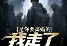是你要离婚的，我走了你又哭？（陈潜柳如烟）最新章节免费在线阅读-逐鹿文学