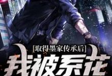 跪求主角是陈瀚宁欣楠的小说书名叫什么-逐鹿文学