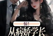 精彩章节阅读惊！从病娇学长身边逃跑失败了(叶寒向暖)免费小说在线看-逐鹿文学