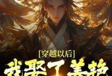 穿越以后，我娶了美艳宗主当老婆免费阅读(貂长聚柳漓烟)小说免费读最新章节-逐鹿文学