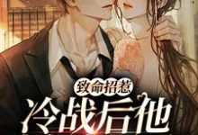 致命招惹：冷战后他靠撒娇求和免费阅读，李书妤许况大结局无弹窗-逐鹿文学