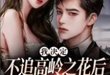 我决定不追高岭之花后,他急了完结版樊璐陆斯钦免费阅读大结局-逐鹿文学