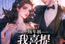 一场车祸，我喜提妻女一双？小说最新章节在哪里可以免费看-逐鹿文学