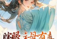 瞎眼主母有毒，不做也罢（主角端木静姝）完结版免费阅读-逐鹿文学