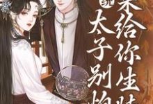 系统：太子别怕，我来给你生娃了最新章节系统：太子别怕，我来给你生娃了在线阅读-逐鹿文学