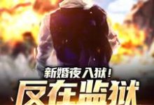 新婚夜入狱!反在监狱成大佬无弹窗秦风林婉儿最新章节列表-逐鹿文学