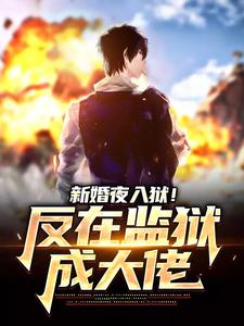 新婚夜入狱！反在监狱成大佬无弹窗秦风林婉儿最新章节列表