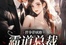替身带球跑,霸道总裁深陷火葬场免费阅读(苏溪傅晏辞)小说免费读最新章节-逐鹿文学