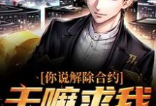 你说解除合约,干嘛求我回去免费阅读,陆洲大结局无弹窗-逐鹿文学