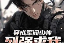 穿成军阀少帅，列强求我别扩军了热门小说(秦林)在线阅读无弹窗-逐鹿文学