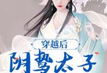 穿越后，阴鸷太子为爱发疯热门小说(苏锦东陵璟)在线阅读无弹窗-逐鹿文学