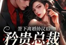 签下离婚协议后，矜贵总裁红眼失控免费阅读，时知漾沈京墨大结局无弹窗-逐鹿文学