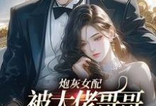 炮灰女配被大佬哥哥团宠后野翻了（主角袁央央）完结版免费阅读-逐鹿文学