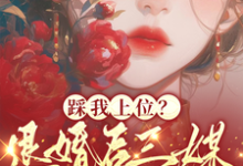 踩我上位？退婚后三媒六聘嫁他哥免费阅读，阮月见萧樾大结局无弹窗-逐鹿文学