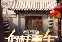 傻柱秦淮茹在线阅读，四合院：傻柱重生，收养破局小说完结版章节-逐鹿文学