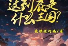 小说这到底是什么三国主角陈默免费阅读-逐鹿文学
