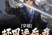 求助这本穿越：坏国运后，我要飞升成仙小说在哪里可以看完结版-逐鹿文学