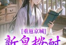 重返京城，新皇按耐不住了！（主角陆行简苏晚晚）完结版免费阅读-逐鹿文学