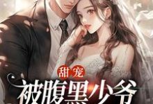 求助这本甜宠：被腹黑少爷藏起来的娇宝小说在哪里可以看完结版-逐鹿文学