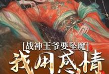 小说战神王爷要坠魔，我用感情拯救他（苏婉清陆少卿）最新章节在哪看-逐鹿文学