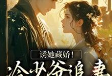 求助这本诱她藏娇！冷少爷追妻蓄谋已久小说在哪里可以看完结版-逐鹿文学