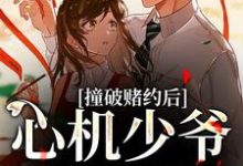 跪求主角是顾肆一武云云的小说书名叫什么-逐鹿文学