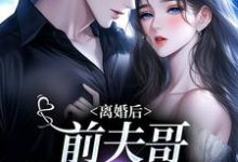求助这本离婚后，前夫哥苦等我回头小说在哪里可以看完结版-逐鹿文学
