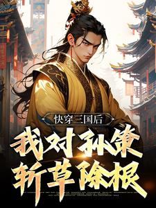 求助这本快穿三国后，我对孙策斩草除根小说在哪里可以看完结版