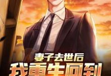 吴为小说的结局在哪可以看，妻子去世后，我重生回到高考那年免费阅读完结版-逐鹿文学