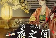 跪求主角是沐青婼楚云珩的小说书名叫什么-逐鹿文学