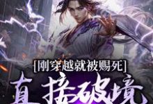 刚穿越就被赐死，直接破境陆地神仙完结版宁尘免费阅读大结局-逐鹿文学
