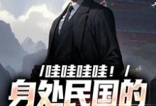 哇哇哇哇！身处民国的我变大佬在线看，苏墨小说大结局在哪免费看-逐鹿文学