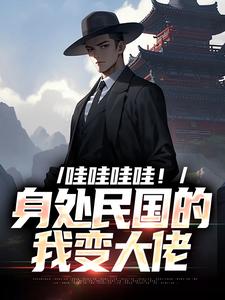 苏墨最新章节哇哇哇哇！身处民国的我变大佬免费阅读
