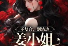 小说不复合，别沾边，姜小姐又美又飒主角顾衍泽苏辞心免费阅读-逐鹿文学