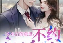 多年后的重逢，不约，姐有男友（禾念安傅璟忱）最新章节免费阅读-逐鹿文学