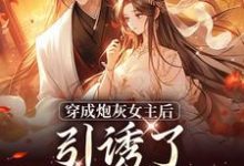 主人公是沈毓灵权明赫的小说踹掉言情男主，勾搭男频帝王免费阅读-逐鹿文学