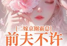 阮莞厉渊小说免费阅读最新章节列表，二嫁京圈霸总，前夫不许来捣乱小说在线看-逐鹿文学