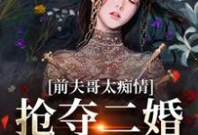 苏墨菀在线阅读，前夫哥太痴情，抢夺二婚新郎席位小说完结版章节-逐鹿文学