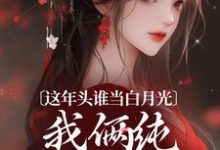 这年头谁当白月光,我俩纯纯走剧情小说资源求分享,这年头谁当白月光,我俩纯纯走剧情温沅李昭在线阅读-逐鹿文学