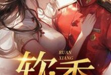 小说不是大哥，你兜这大一圈就为娶我（宋翊）最新章节在哪看-逐鹿文学
