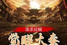 诛杀反贼，觉醒大秦千年气运（主角嬴启）完结版免费阅读-逐鹿文学