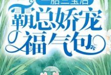 一胎三宝后,霸总娇宠福气包(陆北城江如意)最新章节免费在线阅读-逐鹿文学