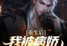 被病娇财阀抢婚后，校花悔哭完结版林轩苏婳免费阅读大结局-逐鹿文学